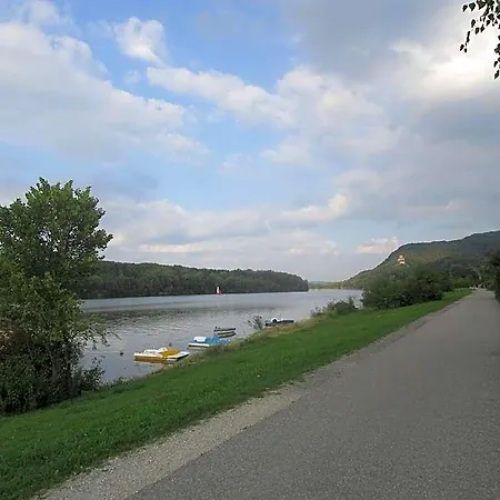 Schwarzer Adler