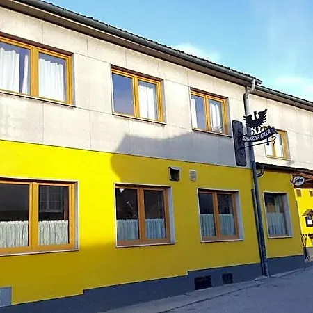 Schwarzer Adler