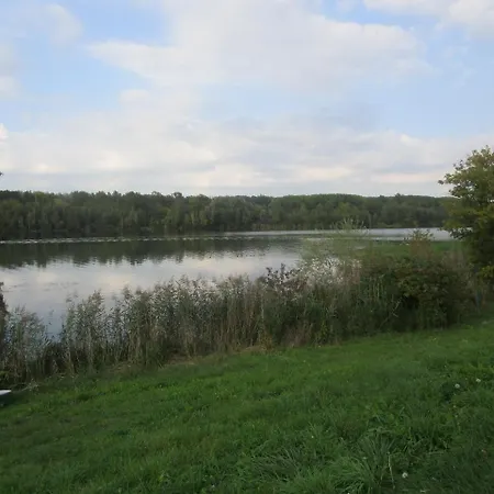 Schwarzer Adler