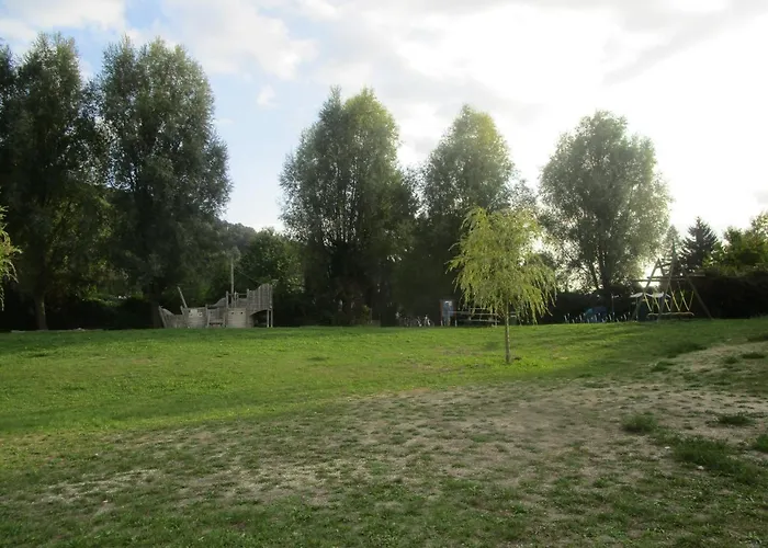 Schwarzer Adler Han/Misafirhane